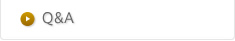 Q&A